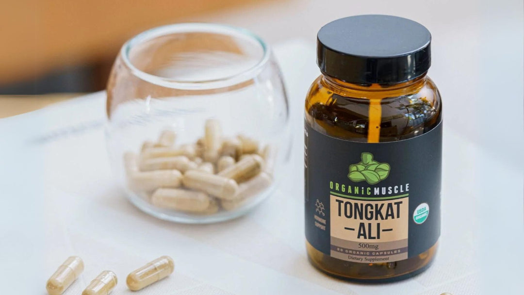 Can Tongkat Ali Help With ED (Erectile Dysfunction)? - Organic Muscle Fitness Supplements