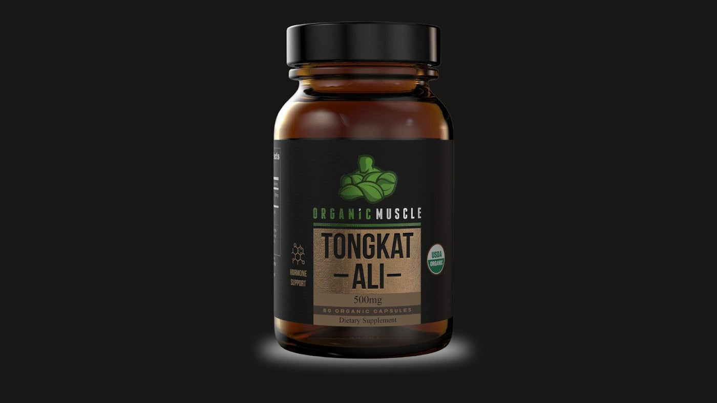 Is Tongkat Ali Safe? What You Need To Know - Organic Muscle Fitness Supplements