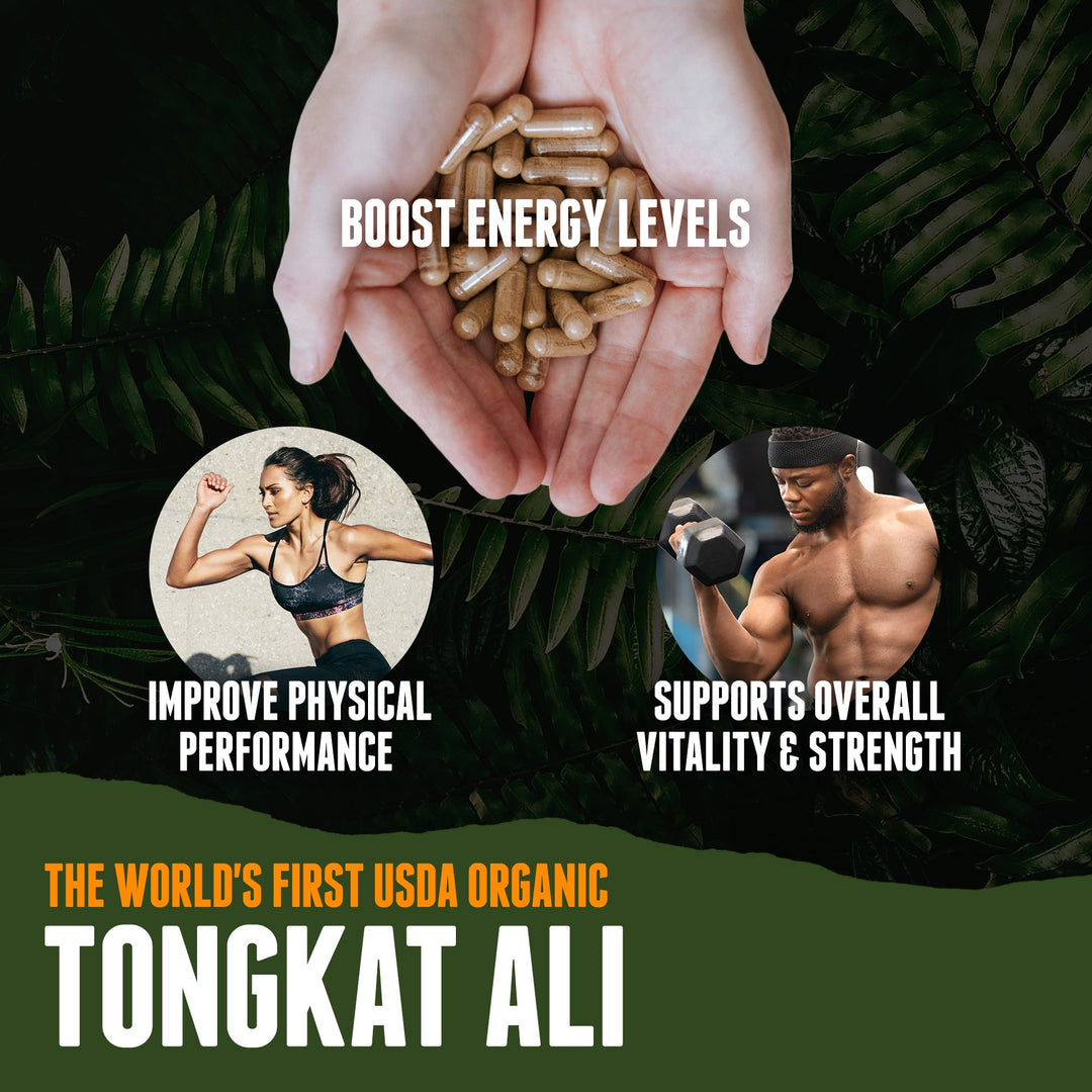 Organic Tongkat Ali - Organic Muscle Fitness SupplementsOrganic Muscle Fitness SupplementsOrganic Muscle Fitness Supplements