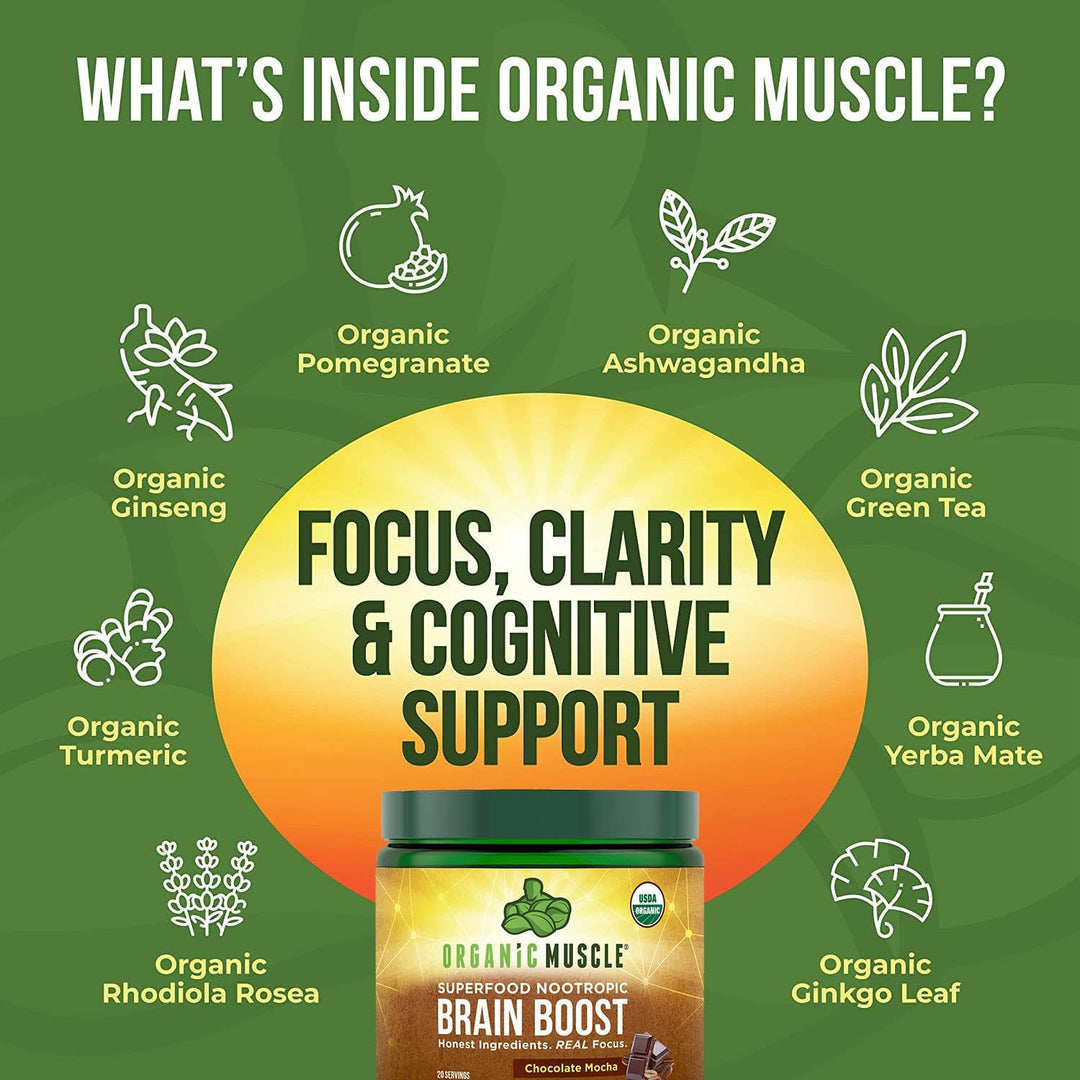 Superfood Brain Boost - Organic Muscle Fitness SupplementsOrganic Muscle SupplementsOrganic Muscle Fitness Supplements019962141218