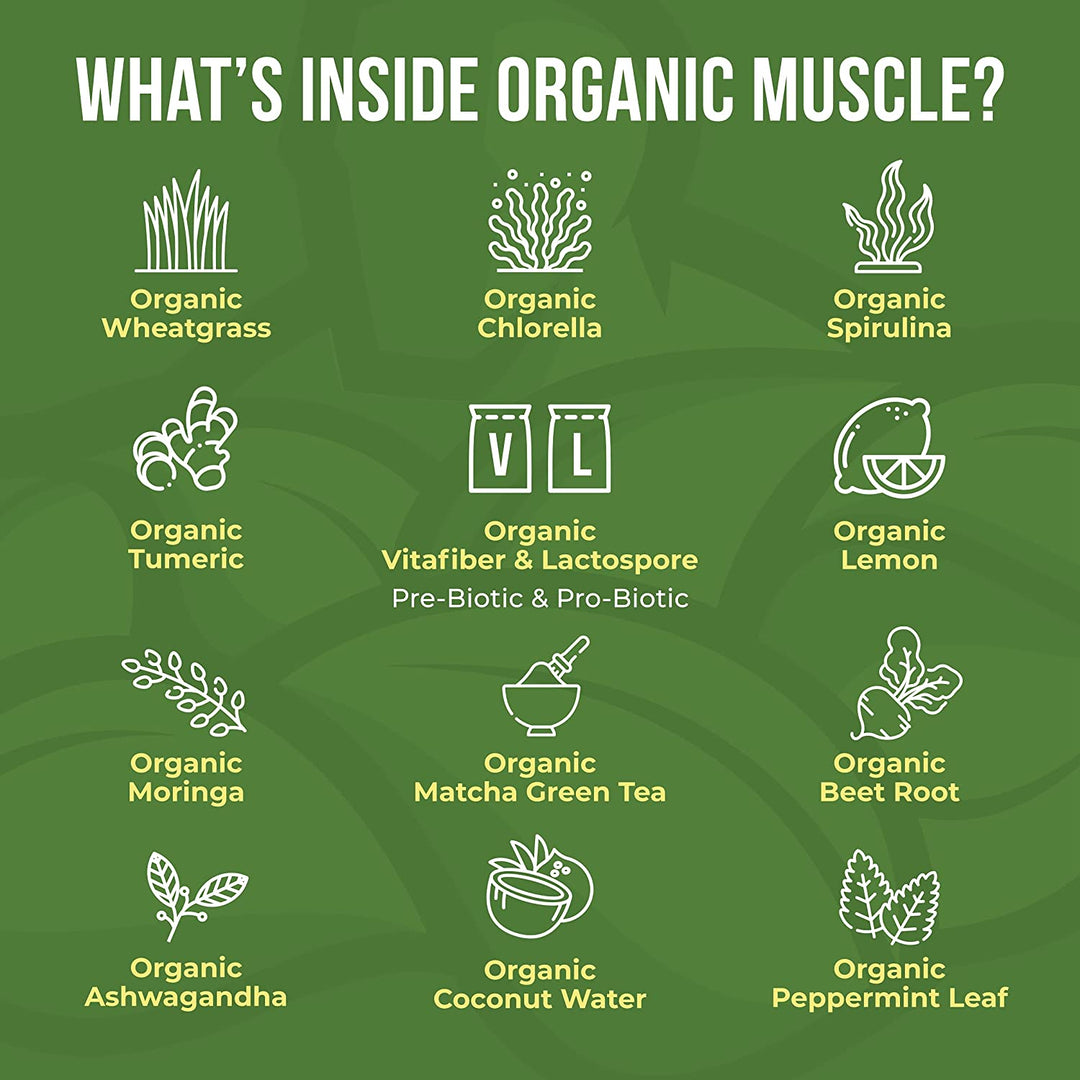 Superfood Greens - Organic Muscle Fitness SupplementsOrganic Muscle SupplementsOrganic Muscle Fitness Supplements